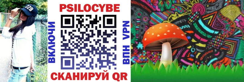Псилоцибиновые грибы Psilocybe  Воскресенск 